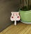 Creative household daily necessities - bag cat hook \\\"meilongyu. Shanke\\\" manufacturers direct sales