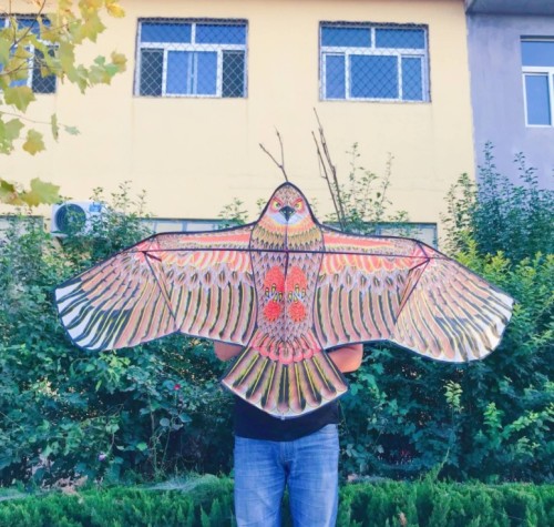 Weifang Kite Bronzing Front Jackstay Eagle Factory Wholesale Processing Custom New Adult and Children Kite