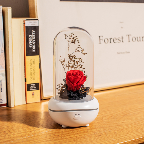 factory direct sales creative new seven-color atmosphere preserved fresh flower fragrance lamp car hotel household essential oil aroma diffuser