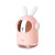 Space Rabbit Humidifier USB Space Cat Humidifier Air Purification Hydrating Small Desktop Office Humidifier