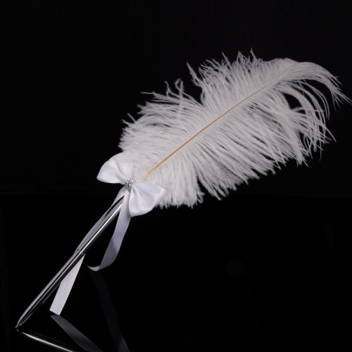 42cm large european retro feather pen creative western wedding feather signature pen signature pen customization