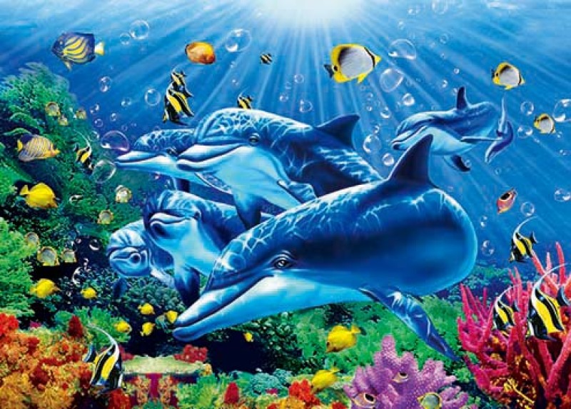 高清5d立体画 50*70新画片 家居装饰画 pet 贴纸_运通画框(5d画)_义乌