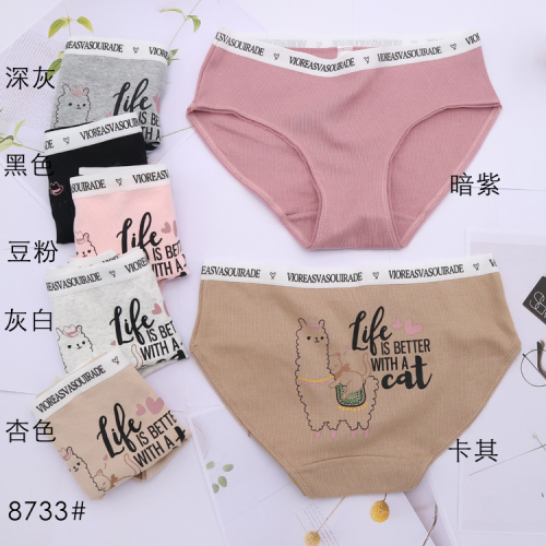 foreign trade domestic underwear women‘s underwear girl‘s cotton briefs lace lace lace pants factory direct