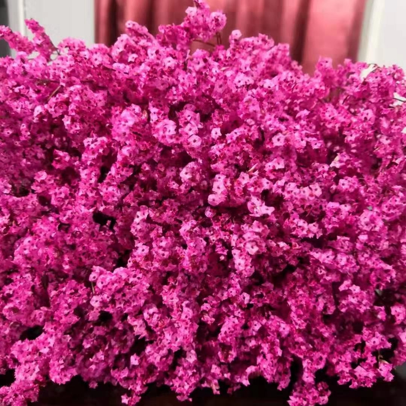 义乌市菀薇永生花