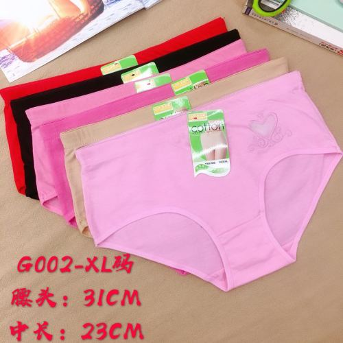 Foreign Trade Underwear Women‘s Briefs Solid Color Girl Pants Embroidered Mesh Pants Factory Direct Sales