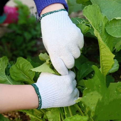 Kindergarten Children‘s Labor Cotton Yarn Labor Protection Gloves Gardening Children Primary School Students Parent-Child Gloves Outdoor Activities