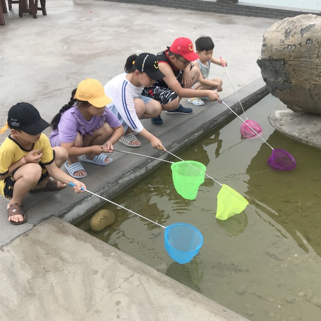 Supply 4032 Children's Stainless Steel Retractable Fish Net Insect Net  Dragonfly Butterfly Net Insect Net Catch Shrimp Tadpole Salvage Fish Net  Bag