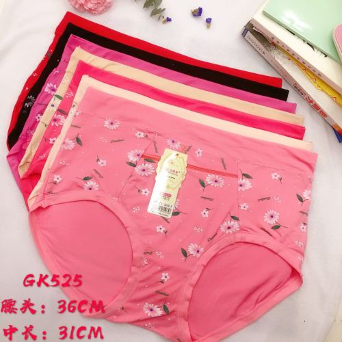 Foreign Trade Underwear Women‘s Underwear Anti-Theft Zipper Briefs High Waist Mummy Pants Factory Direct Sales 