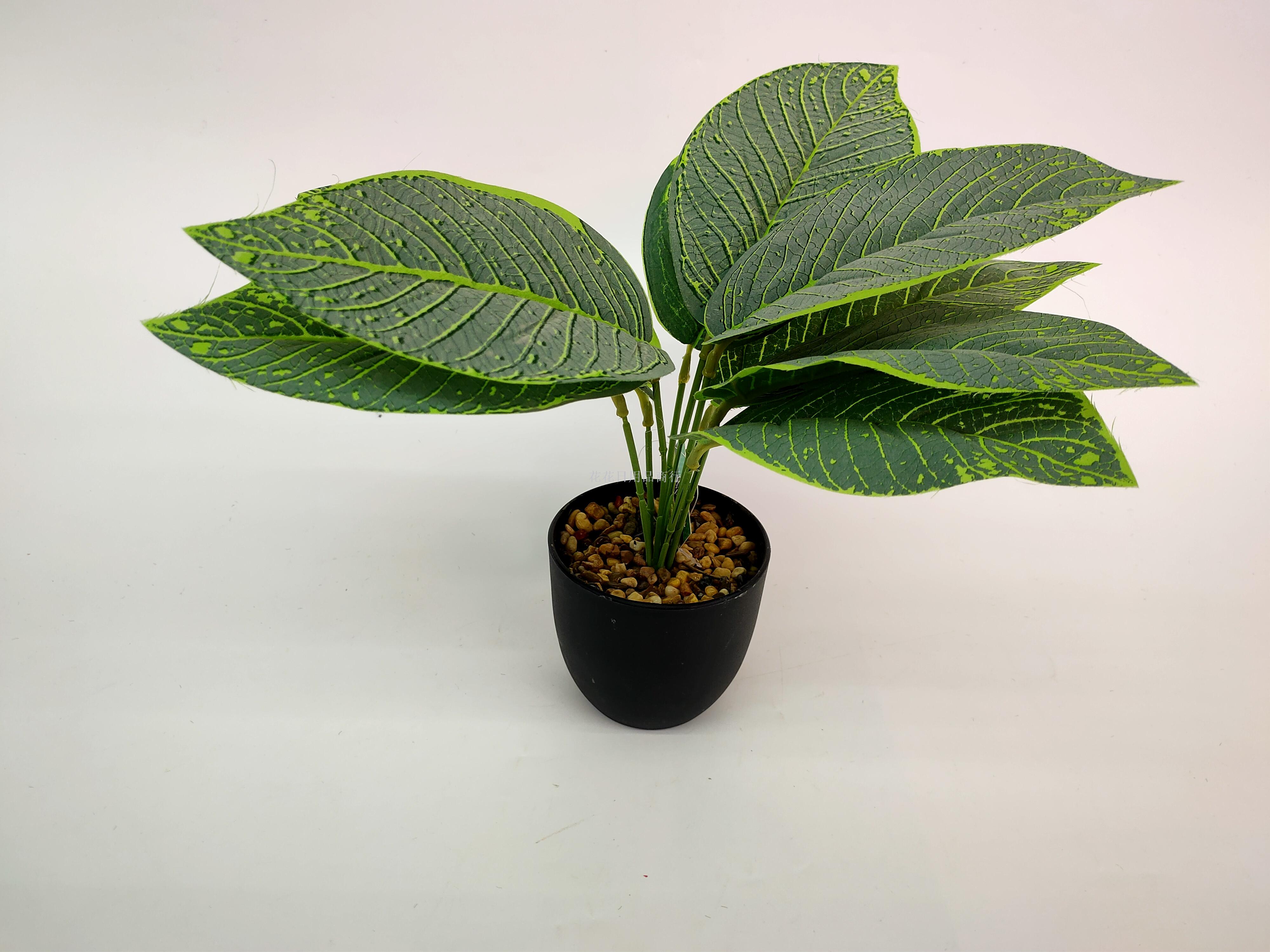 New black basin Apple leaf simulation greenery bonsai green ...