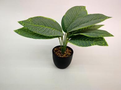 新款黑色盆苹果叶仿真绿叶植物盆景绿色装饰品拍照搭配