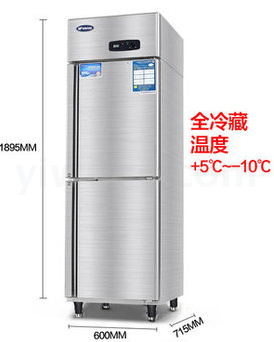 Yindu Two-Door Vertical Single Temperature Refrigerator Two-Door Refrigerator Industrial Refrigerator Frozen to Keep Fresh Kitchen Dedicated