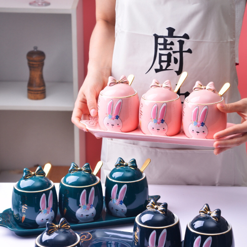 ceramic seasoning jar color glaze light luxury kitchen supplies daily necessities gift cartoon pink green