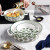 Ceramic bowl tray set with web celebrity double-ear hand painted color baking tray set with rice oven oven special tray