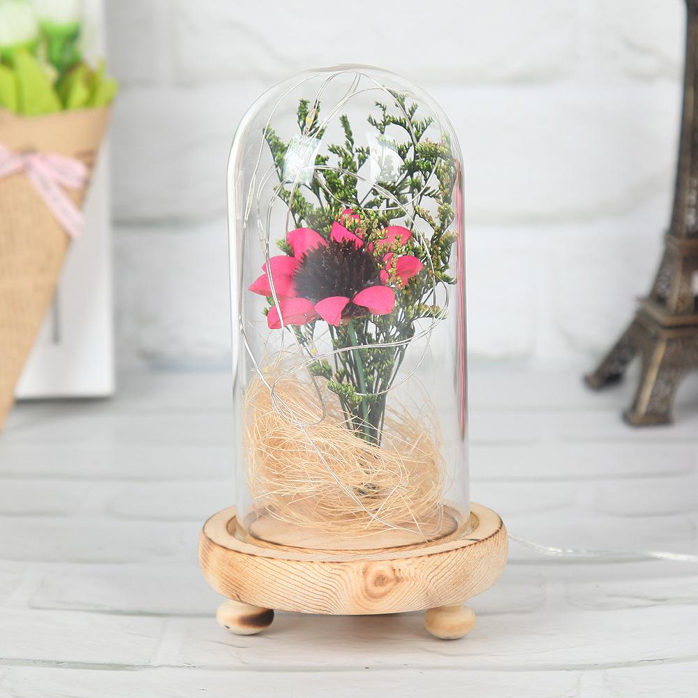 干花装饰透明微景观太阳花玻璃罩 手工制作DIY坚果壳太阳花摆件