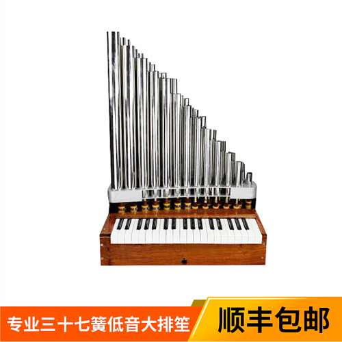Musical Instrument Sheng Keyboard Sheng 36 Spring Alto Radisson Aluminium Alloy Flight Case with Hose 36 Tube Alto Radisson