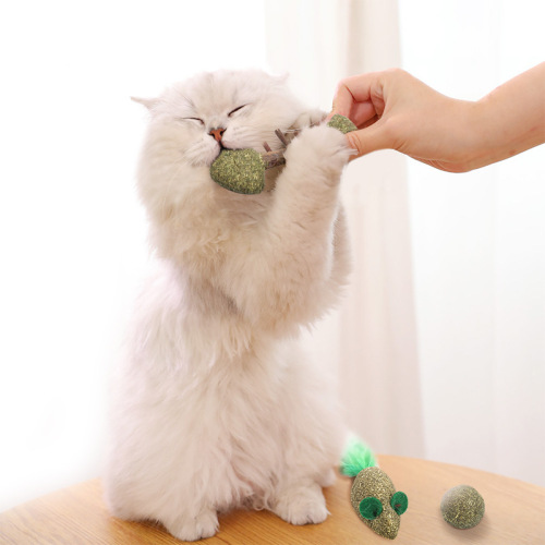 cat toy catnip polygonum multiflorum ball fish mouse shape molar gnawing factory in stock wholesale
