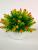 Artificial flower plastic basin full of sky green plant bonsai adornment sitting room bedroom table and so on