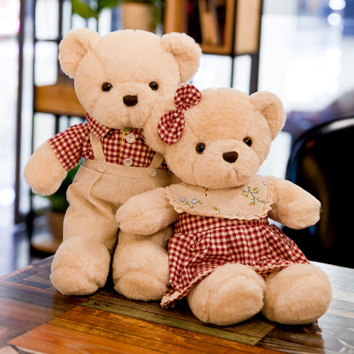 Creative New Couple Bear Plush Toy Small Fresh Dress Skirt Huggy Bear Ragdoll Children Doll Customization
