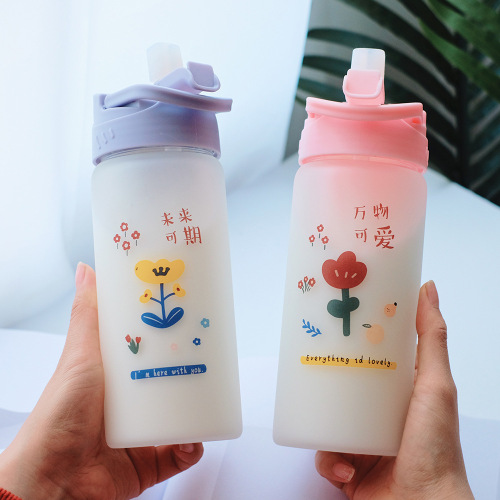 Frosted Straw Glass Cup Cute Cartoon Water Cup Ins Style Student Cup with Straw Girls Hand Cup One-Piece Delivery