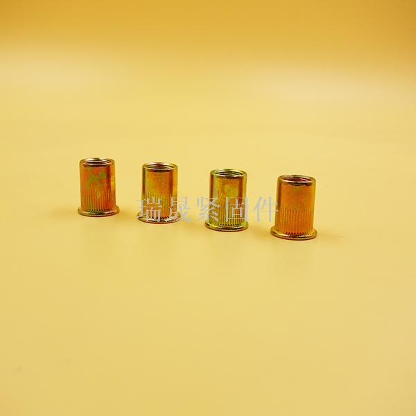 Riveting nuts with inside and outside hexagon riveting nuts with blind hole riveting nuts with insid