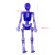 TPR Expandable Material Skeleton Human Skeleton Model Doll Halloween Decoration Toy Outfit Capsule Toy