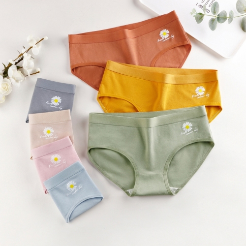 new summer fresh popular daisy cotton women‘s underwear girl sweet briefs h