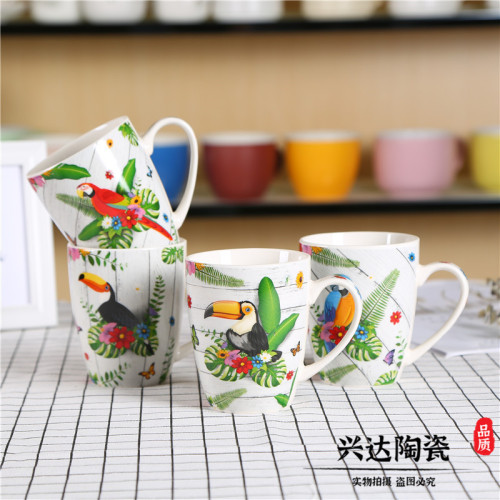 Creative Parrot Mug Ceramic with Lid Nordic Ins Style Large-Capacity Water Cup Coffee Cup 3001