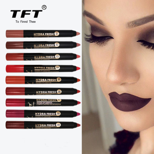 European and American Color Velvet Matte Finish New Lipstick Pen Lipstick Long-Lasting Makeup 