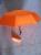 The vinyl umbrella includes Half off vinyl umbrella, pocket umbrella, capsule umbrella, reverse umbrella, three off umbrella, Half off umbrella, and umbrella
