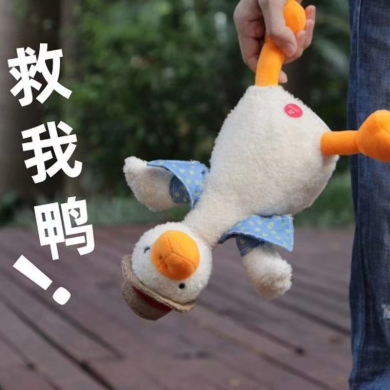 复读鸭沙雕鸭爆款usb充电带200首歌会学说话会录音需要怼联系客服