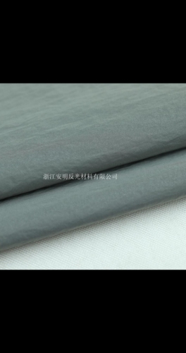 Highlight Nylon Wrinkle Fabric