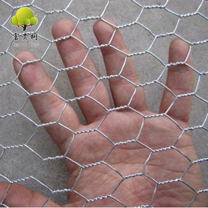 Direct Factory BWG20 BWG22 Hot Dipped Galvanized Hexagonal Wire Mesh 1/2''*1.2m*30m Chicke
