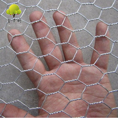Direct Factory BWG20 BWG22 Hot Dipped Galvanized Hexagonal Wire Mesh 1/2''*1.2m*30m Chicken Mesh Iron Wire Mesh