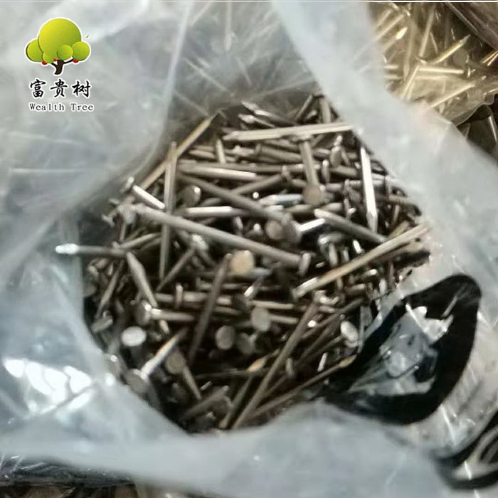 Supply Direct Factory Common Iron Nails 1 25mm Bulk Iron Wire Nails Common Round Nails Supply Direct Factory Common Iron Nails 1 25mm Bulk Iron Wire Nails Common Round Nails
