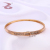 The Trend of the Ins Wind Special-Interest Design Jewelry Narrow Zircon Bracelet Ring Set 520 Birthday Gift to Send His Girlfriend