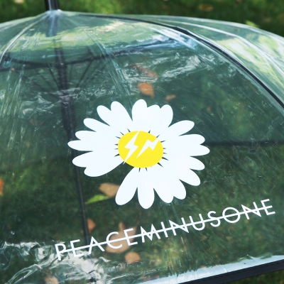 Rst116-cj small chrysanthemum umbrella transparent umbrella, dragon umbrella long handle umbrella web celebrity wholesale