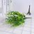 Factory Direct Sales Simulation Eucalyptus Plastic Plant Wall Potted Decoration 49 Mesh Money Grass Simulated Green Plants
