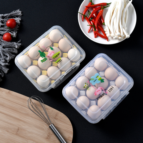 outdoor picnic portable 12-cell egg box crush-proof storage box refrigerator egg storage box