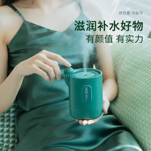 Aromatherapy Cactus Humidifier Portable Battery USB Mini Humidifier for Home Bedroom Noiseless Office