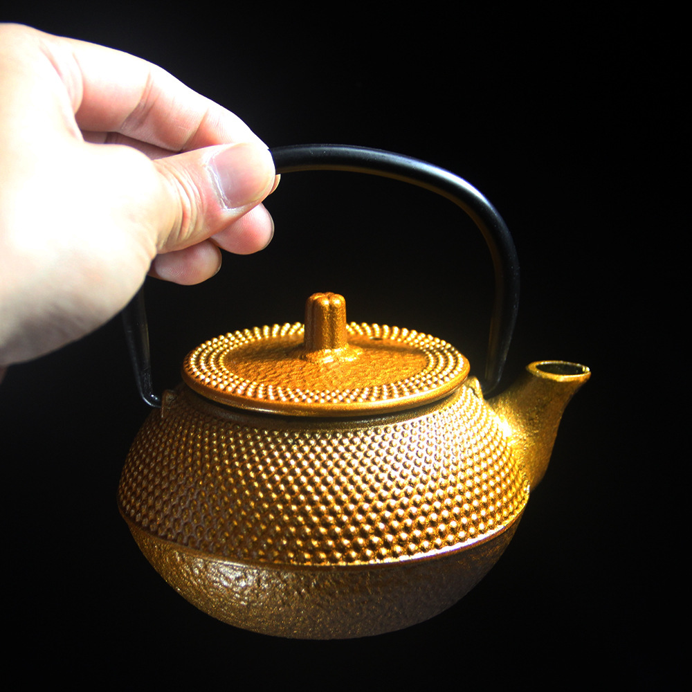 Pots with Filter Screen of 300 Millimetres of 03l Boil Water Tea JapaneseStyle Cast Iron Teapot Kung