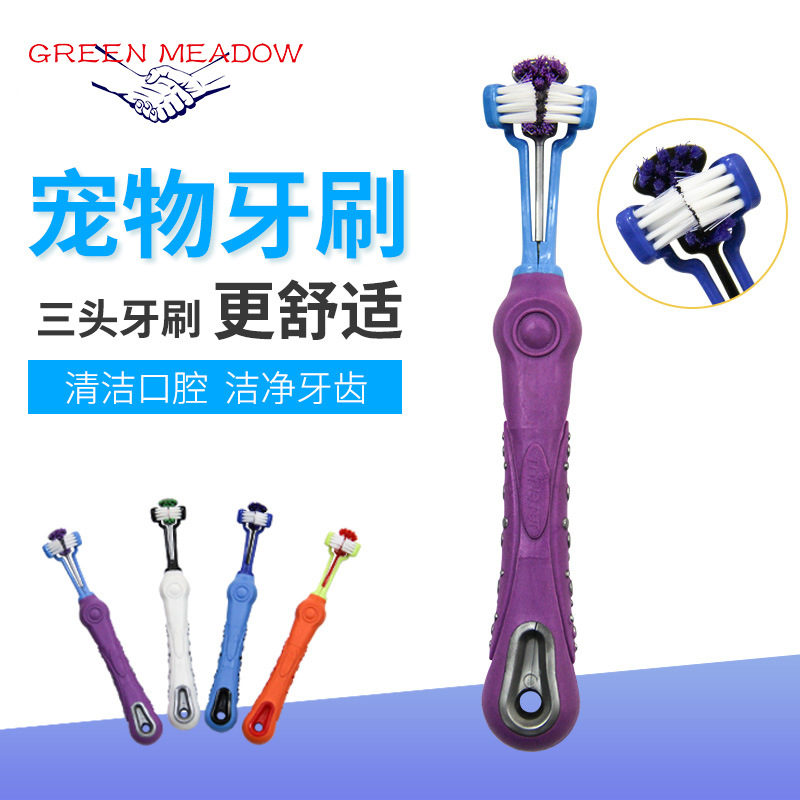 Pet Supplies Pet Toothbrush Three-Head Toothbrush Multi-Angle Cleaning Large Dog Toothbrush Factory
