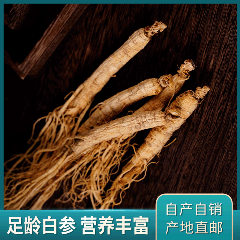 Dried Ginseng Dry Extra Large 20 Pieces about 1 Jin Sparkling Wine Whole Branch White Full Beard Cha