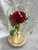 Valentine's Day Hot Product, Glass Cover Artificial Rose Little Prince