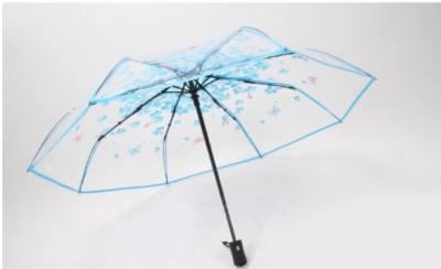 Japanese-Style Long Handle Transparent Frosted Umbrella Photo Internet Hot Fresh Student Children's Transparent Umbrella Logo Advertising Customization