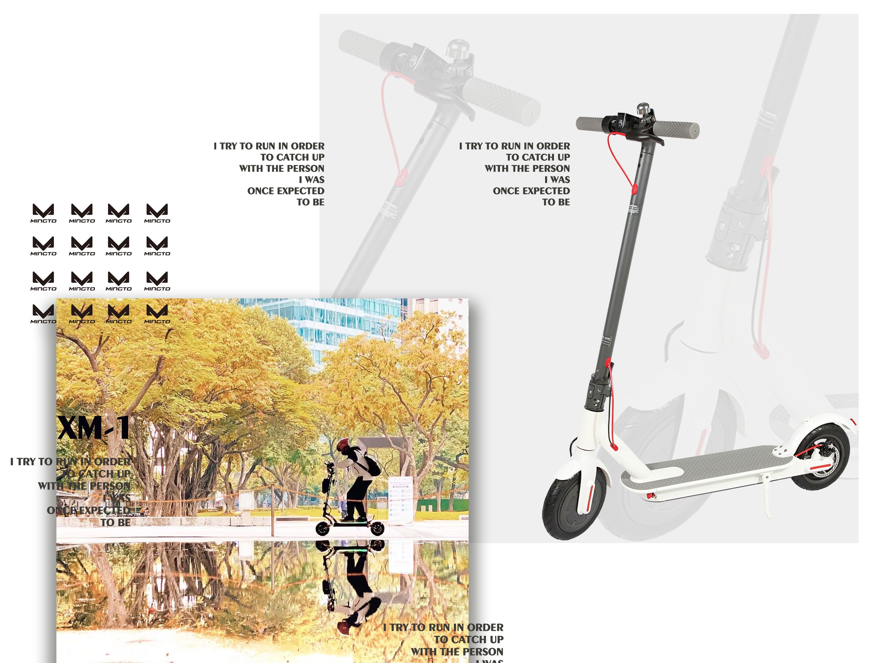 Lushang Electric Scooter Mobility Adult