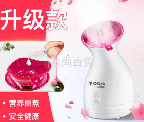 5028 Face Device Water Replenishing Instrument Beauty Household Facial Steamer