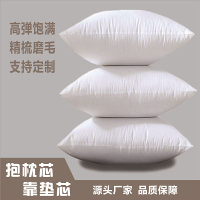Factory Direct Sales Brushed Cloth Throw Pillow Filler Pp Cotton Cushion Core Wholesale 40 45 50 55 60 Seat Cushion Core