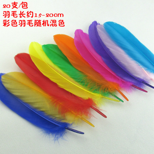 Factory Direct Sales DIY Kindergarten Handmade Colorful Feather Large Floating Feather Craft Decorative Art Art and Labor Materials