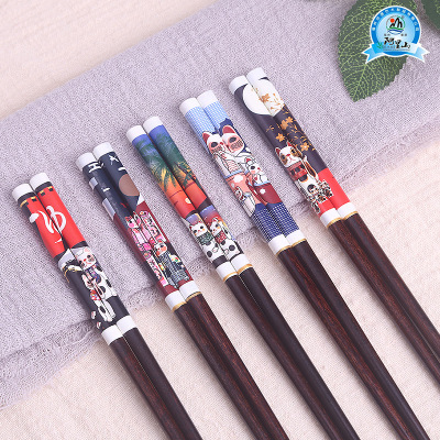 [Taiyuan] Factory Direct Sales Japanese Chopsticks Creative Chopsticks Household Non-Mildew Sushi Dishes Chopsticks