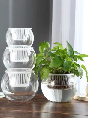 水培植物玻璃瓶透明玻璃花瓶容器绿萝花盆圆球形鱼缸水养小号器皿